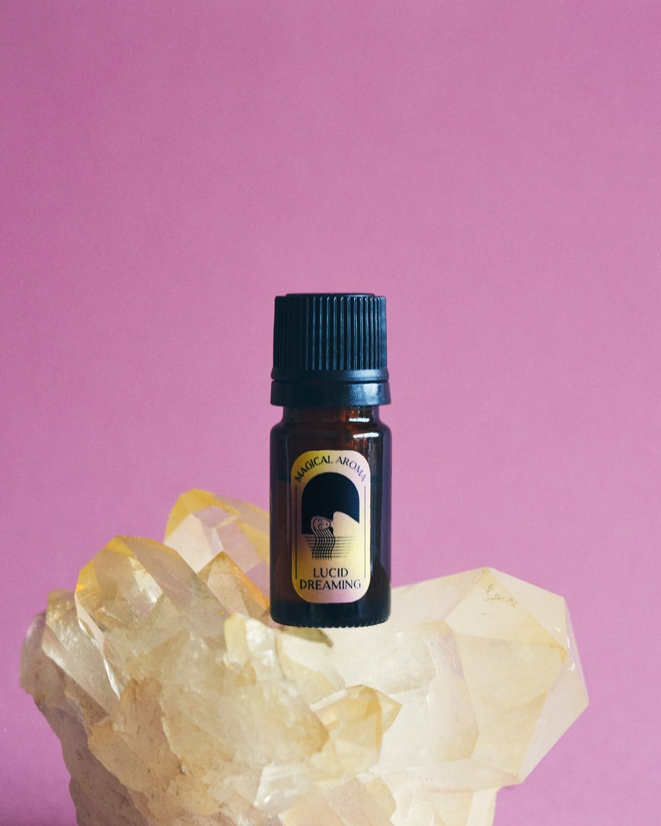 明晰夢 ページ 明晰夢/ Lucid Dreaming｜yachiyo_ENOMOTO